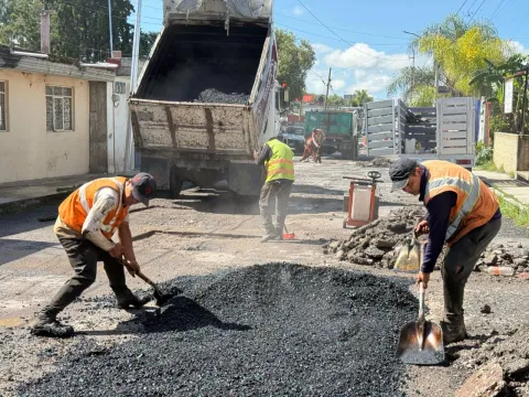 Bacheo