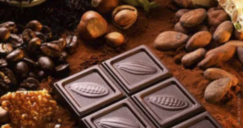 El cacao, domesticado y preparado como chocolate, es uno de los productos que Mesoamérica aportó al mundo.
