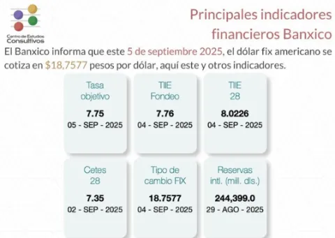 Indicadores