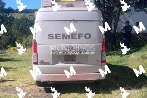 Semefo