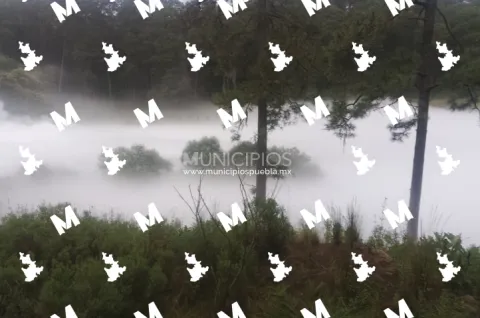 Fuga