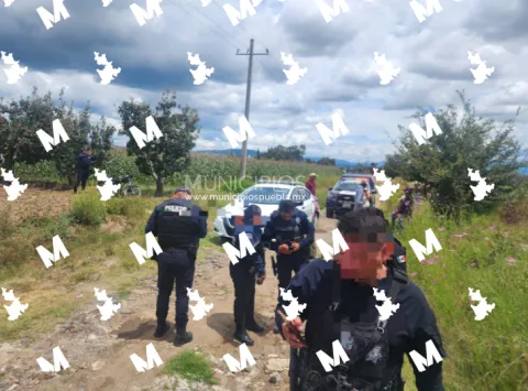 Detenido