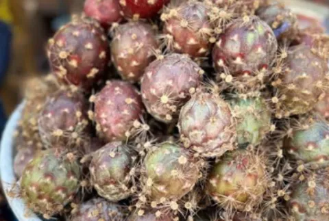 fruta