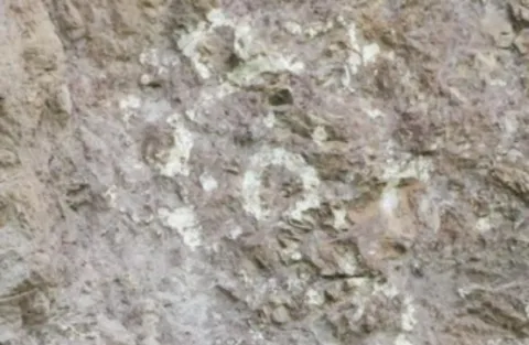 DAÑOS