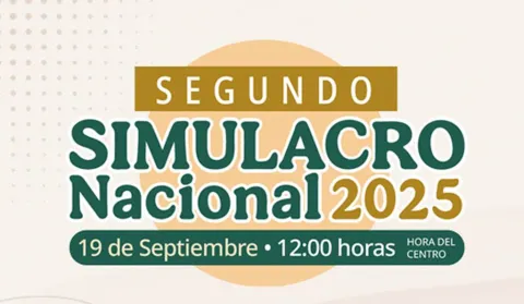 Simulacro