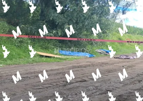 Abandonan dos cuerpos en terrenos de cultivo de San Salvador El Verde, Puebla.