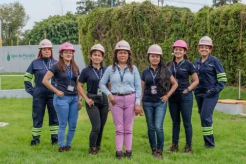 cascos rosas