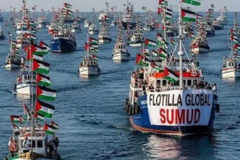flotilla
