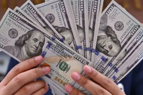 Dolares