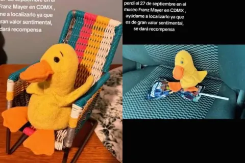 pato peluche
