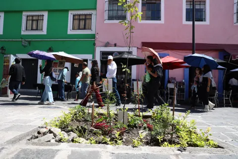 Colocan jardinera en el Barrio del Artista en Puebla.