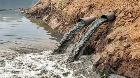 Las actividades humanas son el principal factor que altera la calidad del agua disponible en el planeta para el consumo humano y los ecosistemas.