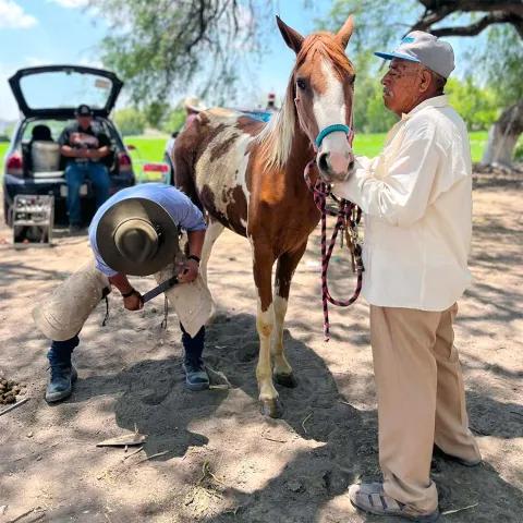 Jornadas veterinarias de la FMVZ en varias comunidades rurales del país.