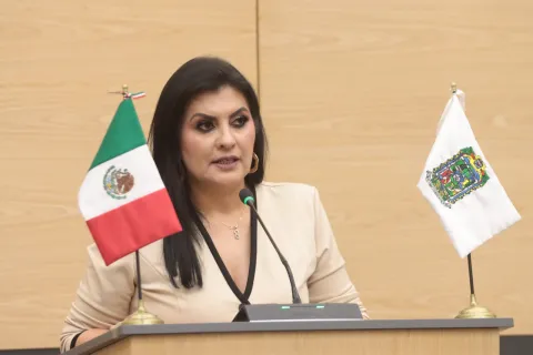 Diputada de Puebla, Delfina Pozos.