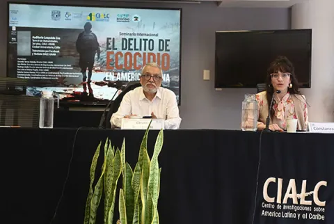 Buscan tipificar ecocidio como crimen internacional.