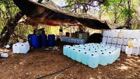 Semar aseguró $756 mdp en droga y precursores químicos del Cártel de Sinaloa 