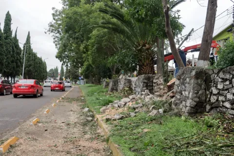 Personal de Servicios Públicos del municipio de Puebla atendió trabajos de poda en Avenida Margaritas.