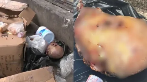 Cabeza decapitada falsa alertó a las autoridades de la CDMX