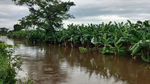 Tras inundaciones, hallan restos de joven tsoltsil en un río de Chiapas