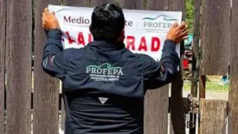 Gobierno de Nuevo León acusa a Profepa de politizar clausura de zoológico 