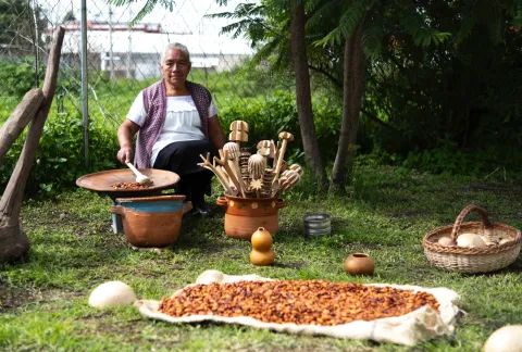 Más que un festival, Xocolatl y Xolos es una experiencia cultural y emocional que invita a recordar, agradecer y reconectar con la esencia mexicana.