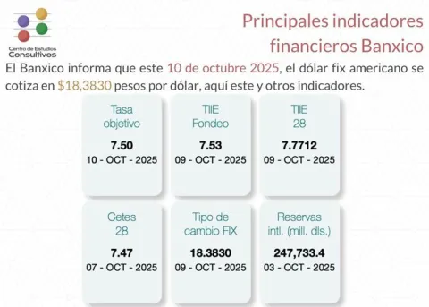 Indicadores