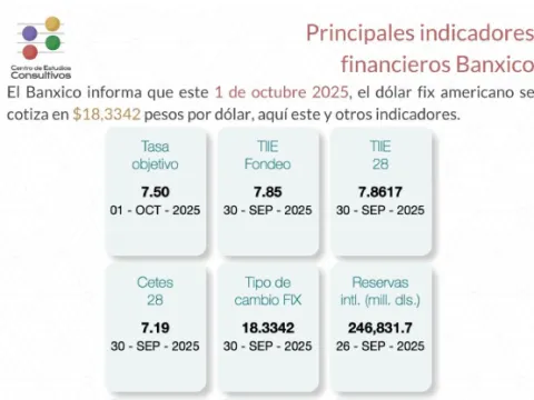 Indicadores
