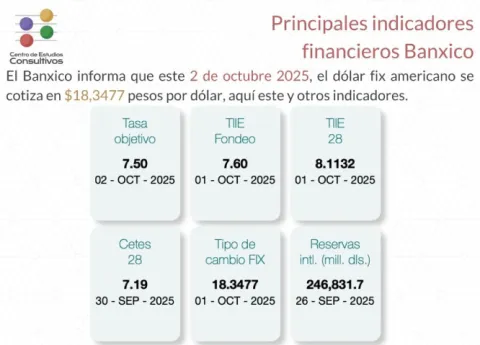 Indicadores