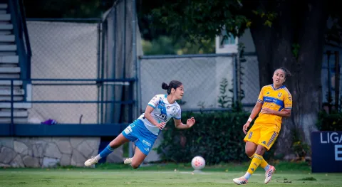 Puebla perdió en casa 3-0 ante Tigres.