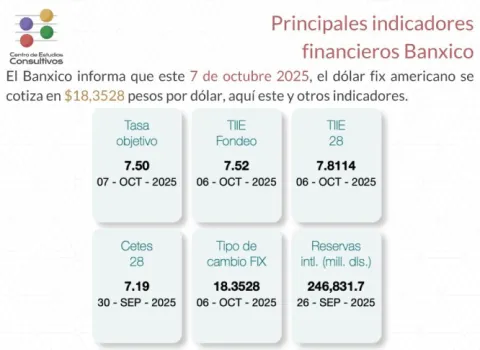 Indicadores