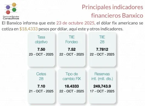 Indicadores