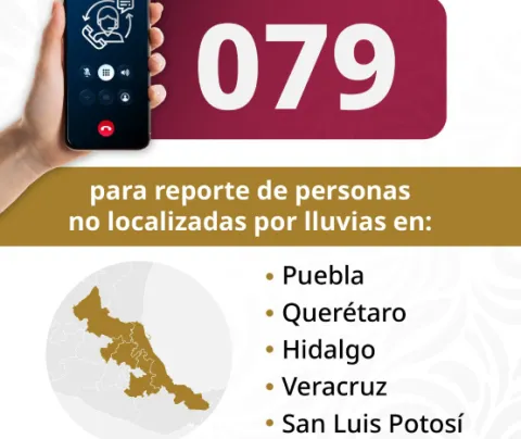 reporte