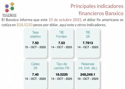 Indicadores