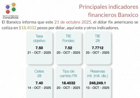 Indicadores