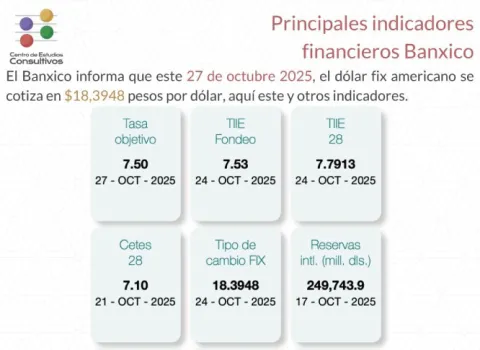 Indicadores