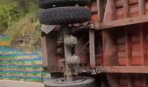 Sobre la carretera Izúcar de Matamoros-Acatlán de Osorio se volcó un camión que transportaba pollos.