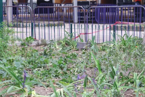 Refuerzan seguridad en Plaza de la Constitución en Tlaxcala tras daños por conciertos de los 500 años.
