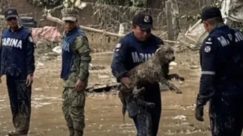 Por fuertes lluvias en Huauchinango, se habilito un refugio para mascotas y dueños