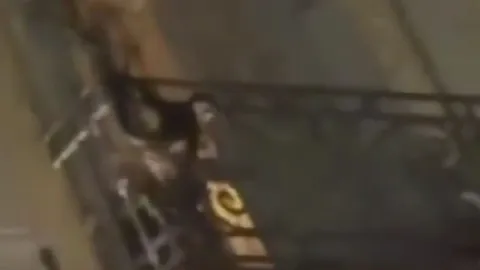 Se viralizan imágenes de mono araña en un edifico del Centro Histórico de Puebla 