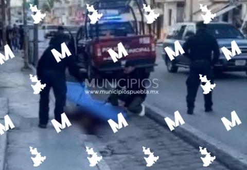 Ejecutado