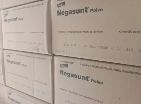 Medicamentos