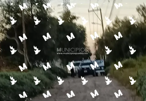 Detenido
