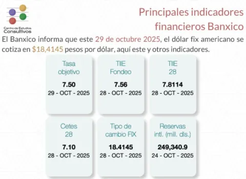 Indicadores