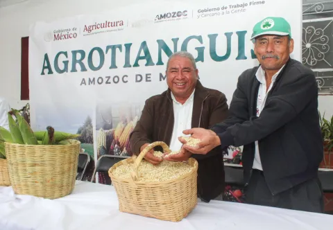 agrotianguis