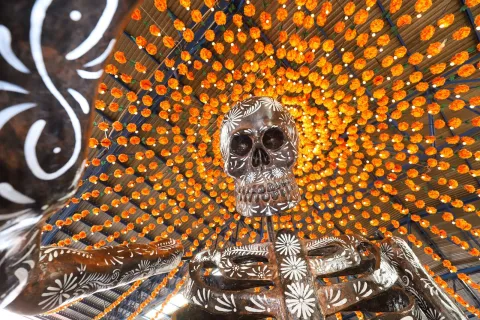catrina1
