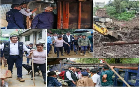 collage-sierra norte