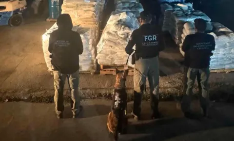 en el estado de Durango, detuvieron al conductor de un tractocamión que trasportaba más de 13 toneladas y 13,400 litros de sustancias químicas y precursores.