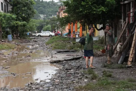 damnificados