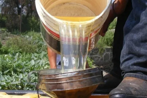 huachicol