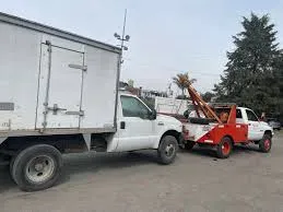 gruas